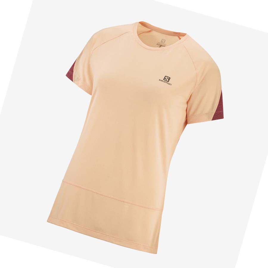 Camiseta Salomon CROSS RUN Mujer Beige | MX 2544XYU